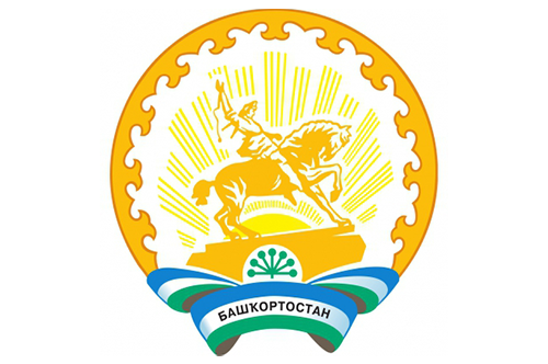 Государственное казенное учреждение здравоохранения Республики Башкортостан Медицинский информационно-аналитический центр
